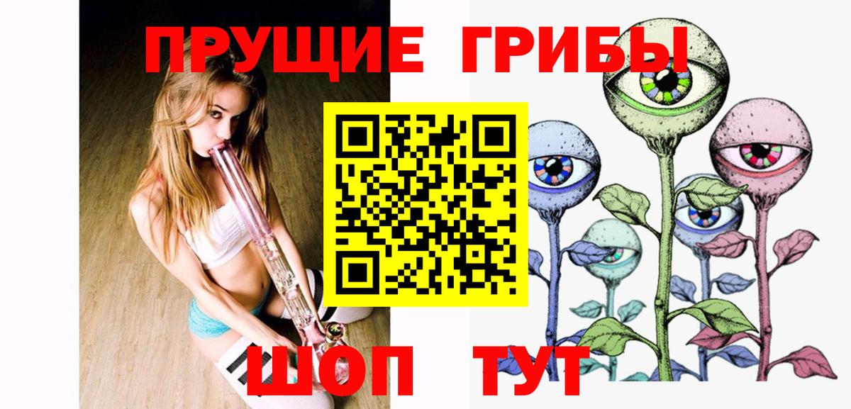 Галлюциногенные грибы GOLDEN TEACHER  Вход с VPN  Новозыбков 